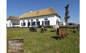 Vakantiehuis De Bolle